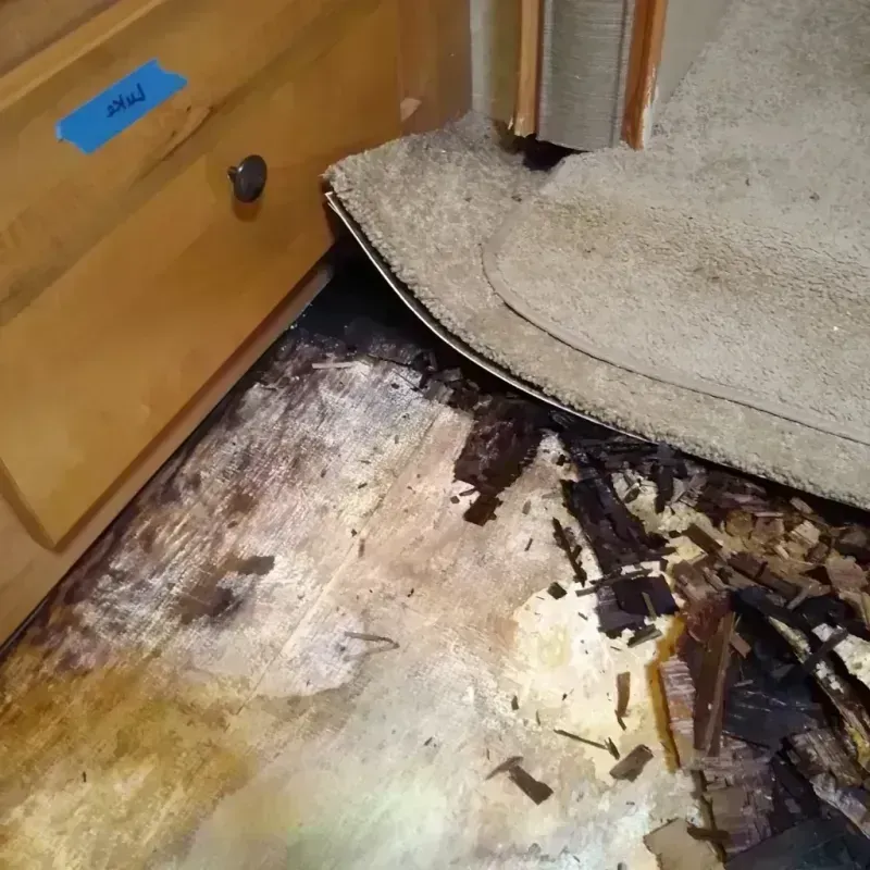 Wood Floor Water Damage in Miami Beach, FL